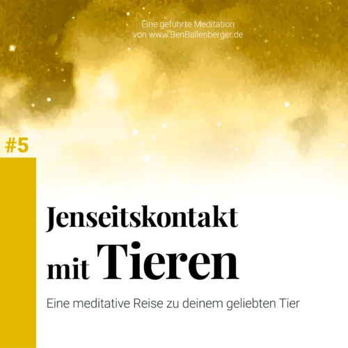 meditation jenseitskontakt mit tieren – tierkommunikation und medialität mit verstorbenen tieren