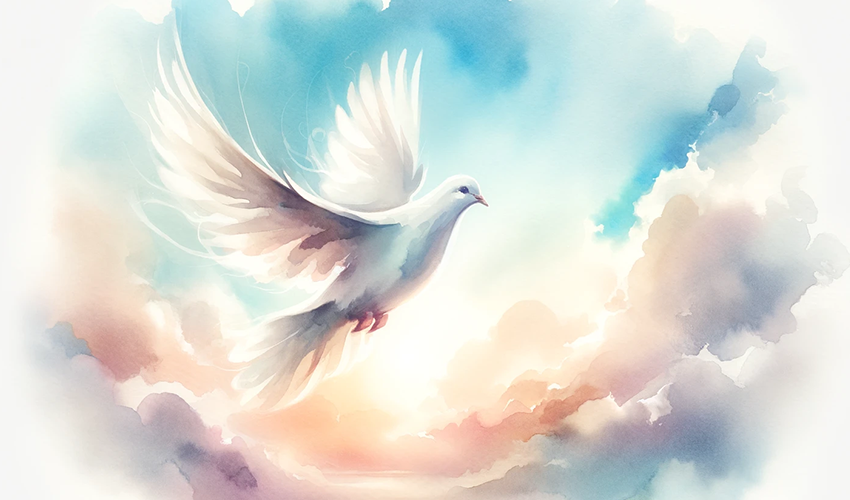 Eine Taube, die in den Himmel fliegt - Symbolbild für die Verbindung zwischen Diesseits und Jenseits